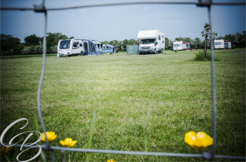 Caravans on park